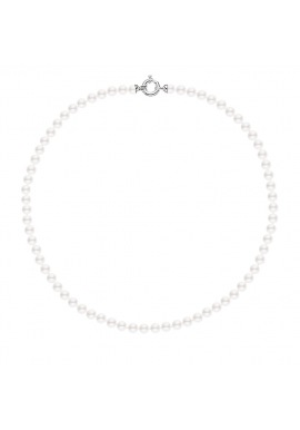 Collier   - Fermoir Anneau Marin Prestige en Argent Massif