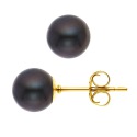 Boucles d'Oreilles en Or Jaune