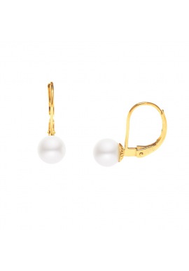 Boucles d'Oreilles en Or Jaune