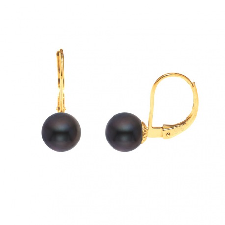 Boucles d'Oreilles en Or Jaune