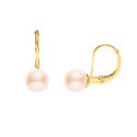 Boucles d'Oreilles en Or Jaune