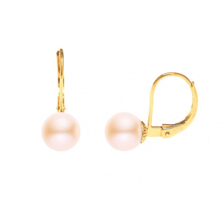 Boucles d'Oreilles en Or Jaune