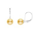 Boucles d'Oreilles en Or Blanc