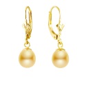 Boucles d'Oreilles en Or Jaune