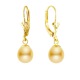 Boucles d'Oreilles en Or Jaune