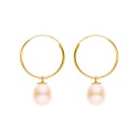 Boucles d'Oreilles en Or Jaune _x000D_