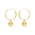 Boucles d'Oreilles en Or Jaune_x000D_