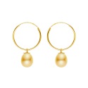 Boucles d'Oreilles en Or Jaune_x000D_