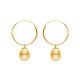 Boucles d'Oreilles en Or Jaune_x000D_