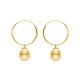 Boucles d'Oreilles en Or Jaune_x000D_