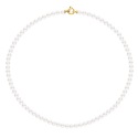 Collier Rang de Perles  Fermoir Anneau Marin Or Jaune