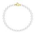 Bracelet Rang de Perles  - Fermoir Anneau Marin Or Jaune