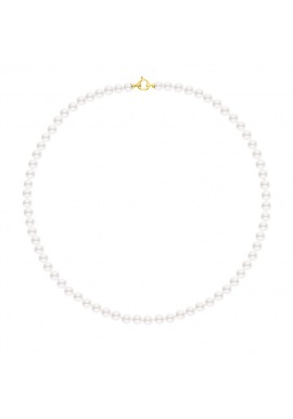 Collier Rang Princesse en   - Fermoir Anneau Marin Or Jaune