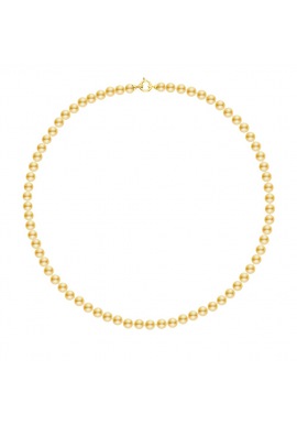 Collier Rang Princesse en   - Fermoir Anneau Marin Or Jaune