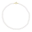 Collier Rang Princesse  - Fermoir Anneau Marin Or Jaune