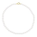 Collier Rang Princesse  - Fermoir Anneau Marin Or Jaune