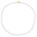 Collier Rang Princesse 50 cm  - Fermoir Anneau Marin Or Jaune