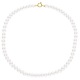 Collier Rang Princesse 50 cm  - Fermoir Anneau Marin Or Jaune