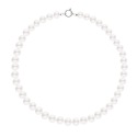 Collier Rang Choker - Fermoir Anneau Marin Or Blanc Prestige