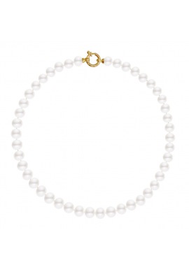 Collier Rang Choker - Fermoir Anneau Marin Prestige Or Jaune