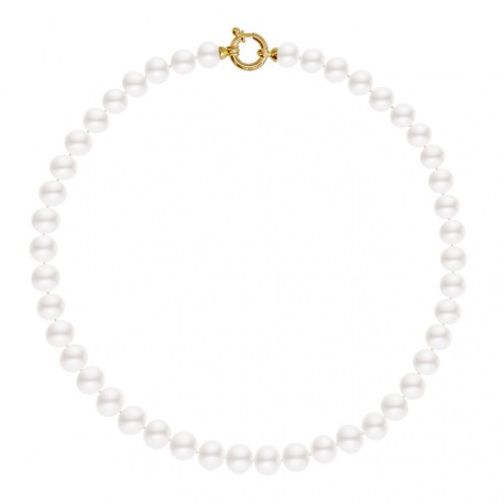 Collier Rang Choker - Fermoir Anneau Marin Prestige Or Jaune