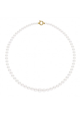 Collier Rang Chute - Fermoir Anneau Marin Or Jaune