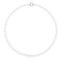 Collier Rang Chute - Fermoir Anneau Marin Or Blanc