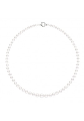 Collier Rang Chute - Fermoir Anneau Marin Or Blanc