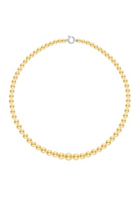 Collier Rang Chute - Fermoir Anneau Marin Or Blanc