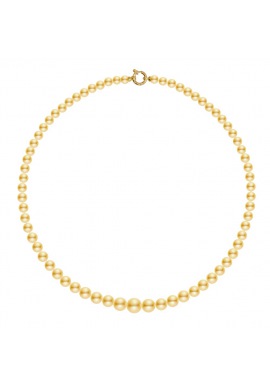 Collier Rang Chute - Fermoir Anneau Marin Or Jaune