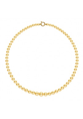 Collier Rang Chute - Fermoir Anneau Marin Or Jaune