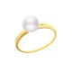 Bague Jonc Massif en Or Jaune