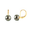Boucles d'Oreilles en Or Jaune