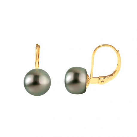 Boucles d'Oreilles en Or Jaune