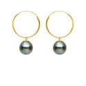 Boucles d'Oreilles en Or Jaune