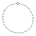 Collier Rang  - Fermoir Anneau Marin Prestige Or Jaune