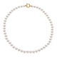 Collier Rang  - Fermoir Anneau Marin Prestige Or Jaune
