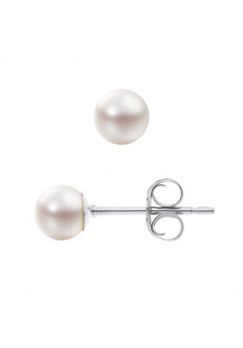 Boucles d'Oreilles en Or Blanc _x000D_