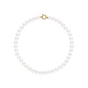 Choker - Fermoir Anneau Marin Or Jaune