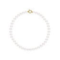 Choker - Fermoir Anneau Marin Or Jaune