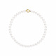 Choker - Fermoir Anneau Marin Or Jaune