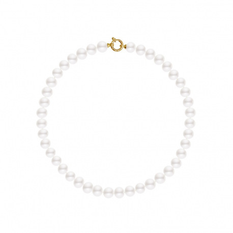 Choker - Fermoir Anneau Marin Or Jaune