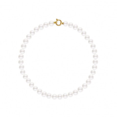 Choker - Fermoir Anneau Marin Or Jaune