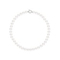 Choker - Fermoir Anneau Marin Or Blanc