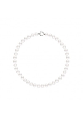 Choker - Fermoir Anneau Marin Or Blanc