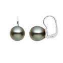 Boucles d'Oreilles en Argent Massif