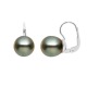 Boucles d'Oreilles en Argent Massif