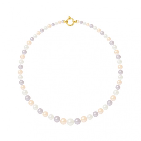 Collier Rang Chute - Fermoir Anneau Marin Or Jaune